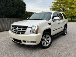 Weiß Gebraucht 2008 Cadillac Escalade SUV | 14.900 € (Superpreis)