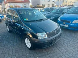 Blau Gebraucht 2010 Fiat Panda Active Kleinwagen | 999 € (Fairer Preis)