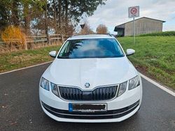 Weiß Gebraucht 2019 Skoda Octavia Style Kombi | 8.900 € (Guter Preis)