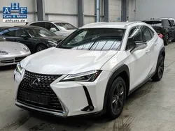 Weiß Gebraucht 2019 Lexus UX Launch Edition SUV | 19.990 €