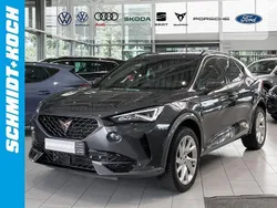 Grau Gebraucht 2024 Cupra Formentor SUV | 33.980 € (Guter Preis)