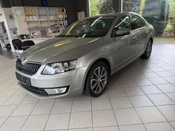 Bezova capuccino Gebraucht 2015 Skoda Octavia Kleinwagen | 12.950 € (Guter Preis)