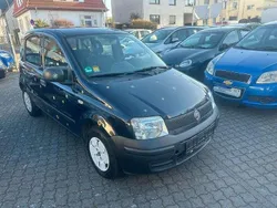 Blau Gebraucht 2010 Fiat Panda Active Kleinwagen | 999 € (Fairer Preis)