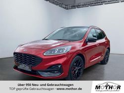 Lucidrot Gebraucht 2023 Ford Kuga ST-Line X SUV | 21.694 € (Guter Preis)