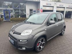Grau Gebraucht 2022 Fiat Panda Sport Kleinwagen | 11.758 € (Fairer Preis)
