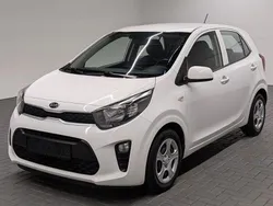 Schneeweiss Gebraucht 2019 Kia Picanto Kleinwagen | 8.480 € (Fairer Preis)