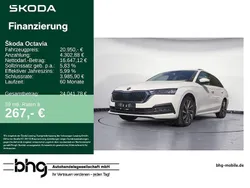 Weiss Gebraucht 2021 Skoda Octavia | 20.950 € (Guter Preis)
