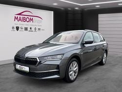 Grau Gebraucht 2024 Skoda Octavia Selection Limousine | 30.690 € (Fairer Preis)