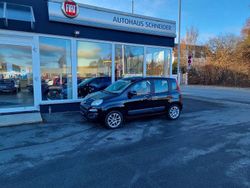 Cinema schwarz Gebraucht 2016 Fiat Panda Lounge Kleinwagen | 6.990 € (Fairer Preis)