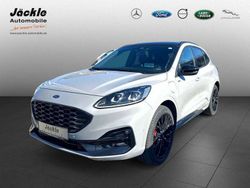 Greymatter Gebraucht 2024 Ford Kuga SUV | 47.950 €