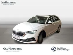 Weiß Gebraucht 2021 Skoda Octavia Ambition Kombi | 20.888 € (Guter Preis)