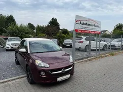 Very berry Gebraucht 2017 Opel Adam Jam Kleinwagen | 6.490 € (Fairer Preis)