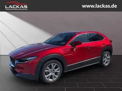 Rot Gebraucht 2020 Mazda CX-30 Selection SUV | 20.950 € (Guter Preis)