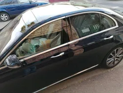 Blau Gebraucht 2019 Mercedes E450 Avantgarde Limousine | 46.500 € (Etwas zu teuer)