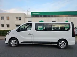 Weiß Gebraucht 2018 Opel Vivaro Van | 11.665 € (Etwas zu teuer)