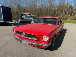 Rot Gebraucht 1966 Ford Mustang Coupé | 27.000 €