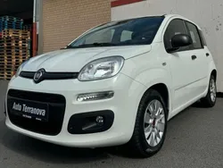 Weiß Gebraucht 2016 Fiat Panda Easy Kleinwagen | 5.499 € (Fairer Preis)