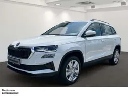 Moonweiss metallic Gebraucht 2024 Skoda Karoq Selection SUV | 31.950 € (Fairer Preis)