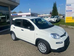 Weiß Neu 2024 Fiat Panda Kleinwagen | 15.690 € (Fairer Preis)
