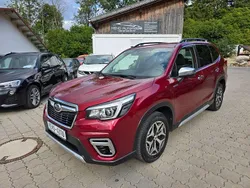 Rot Gebraucht 2020 Subaru Forester Active SUV | 17.990 € (Fairer Preis)