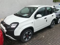 Weiß Gebraucht 2023 Fiat Panda Cross Cross Kleinwagen | 15.680 € (Etwas zu teuer)