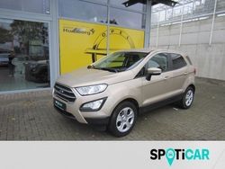 Braun Gebraucht 2020 Ford Ecosport Trend SUV | 12.890 € (Fairer Preis)