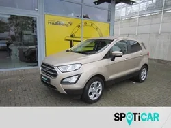 Braun Gebraucht 2020 Ford Ecosport Trend SUV | 12.890 € (Guter Preis)