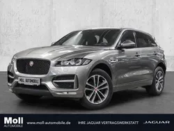 Silicon silver Gebraucht 2020 Jaguar F-Pace R-Sport SUV | 36.690 € (Etwas zu teuer)