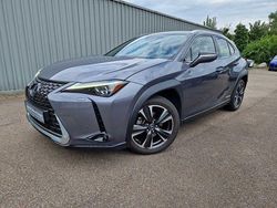 Marlingrau (metallic) Gebraucht 2020 Lexus UX 250h Luxury Line SUV | 26.990 € (Etwas zu teuer)