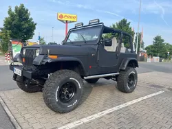 Schwarz Gebraucht 1995 Jeep Wrangler SUV | 17.500 €
