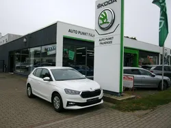 Candyweiss Neu 2024 Skoda Fabia Selection Kleinwagen | 19.890 € (Etwas zu teuer)