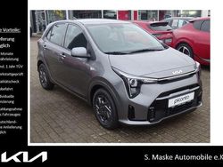 Grau Gebraucht 2024 Kia Picanto Vision Kleinwagen | 17.990 € (Etwas zu teuer)