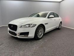 Weiß Gebraucht 2020 Jaguar XF Prestige Limousine | 18.999 € (Guter Preis)