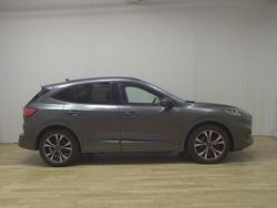Grau Gebraucht 2020 Ford Kuga ST-Line SUV | 15.980 € (Fairer Preis)