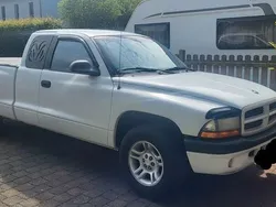 Weiß Gebraucht 2001 Dodge Dakota SUV | 8.500 €