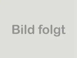 Grau Gebraucht 2024 Fiat Ducato Van | 35.990 € (Fairer Preis)