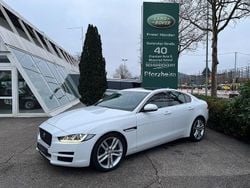 Weiß Gebraucht 2015 Jaguar XE Prestige Limousine | 15.990 € (Etwas zu teuer)