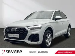 Weiß Gebraucht 2023 Audi Q5 S-Line SUV | 42.880 € (Superpreis)