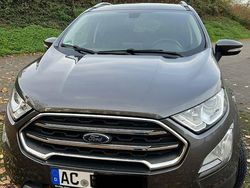 Grau Gebraucht 2019 Ford Ecosport Titanium SUV | 15.650 € (Etwas zu teuer)