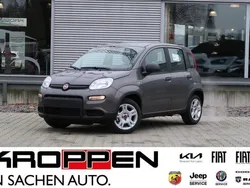 Colosseo grau Gebraucht 2024 Fiat Panda Kleinwagen | 14.480 € (Etwas zu teuer)