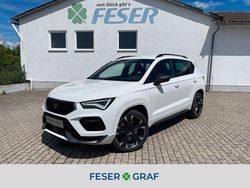 Bila weiss Gebraucht 2023 Cupra Ateca SUV | 30.950 € (Guter Preis)