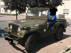 Gebraucht 1952 Jeep Willys Cabrio | 11.700 €