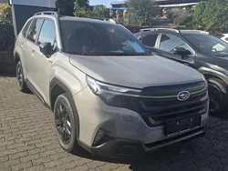 River rock Neu 2025 Subaru Forester Exclusive+ SUV | 43.380 € (Fairer Preis)