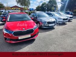 Grau Gebraucht 2024 Skoda Fabia Selection Kleinwagen | 17.990 € (Fairer Preis)