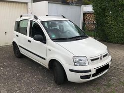 Weiß Gebraucht 2011 Fiat Panda Kleinwagen | 3.900 € (Etwas zu teuer)