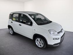 Weiss weiss Gebraucht 2024 Fiat Panda S Kleinwagen | 17.290 € (Teuer)