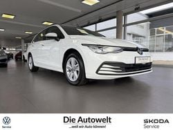 Pure white (weiß) Gebraucht 2021 VW Golf VIII Life Kombi | 17.980 € (Guter Preis)