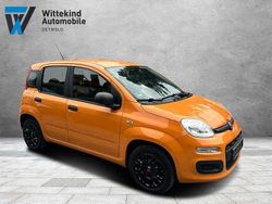 Orange Gebraucht 2019 Fiat Panda Easy Kleinwagen | 7.499 € (Guter Preis)