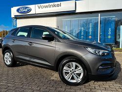 Grau Gebraucht 2021 Opel Grandland X Edition SUV | 18.495 € (Guter Preis)