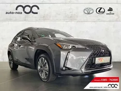 Grau Gebraucht 2021 Lexus UX 300e Luxury Line SUV | 32.990 €